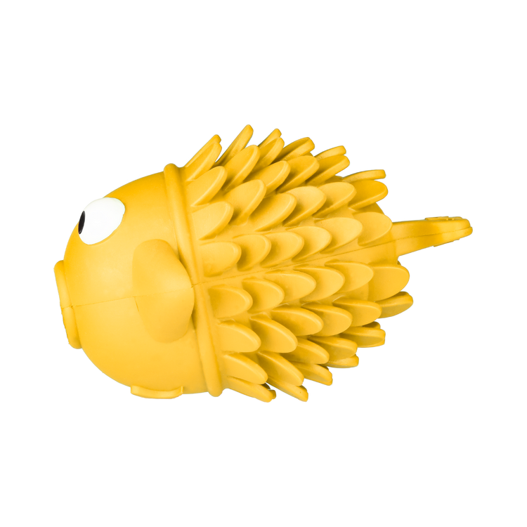 Fishie - The Great Chew